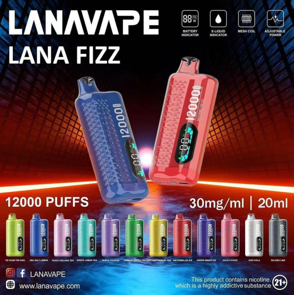 LANA FIZZ 12000 PUFFS DISPOSABLE