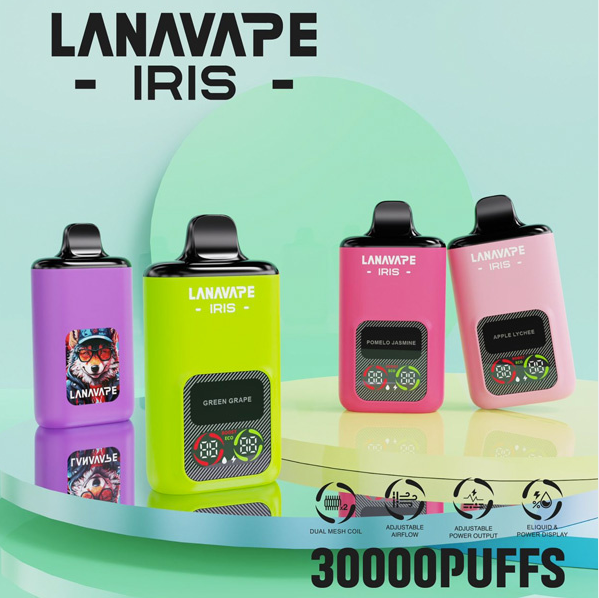 LANA IRIS 30000 PUFFS DISPOSABLE